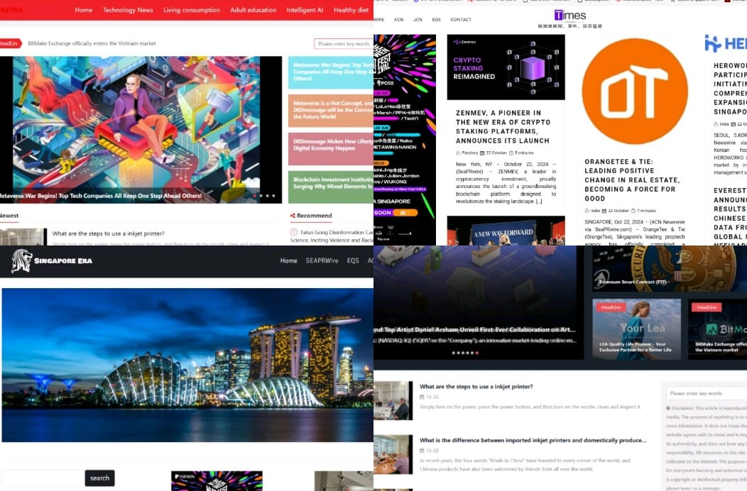 Singapore disables 10 inauthentic websites to combat hostile information campaigns