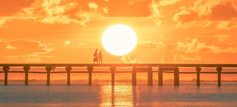 “Humanity’s torching the planet and paying the price,” warned UN Secretary-General António Guterres responding to WMO’s latest global temperature analysis covering January to September 2024.