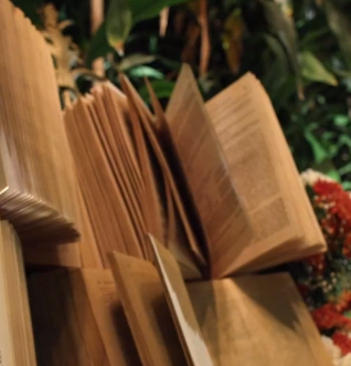 Books at Jaipur Literature Festival