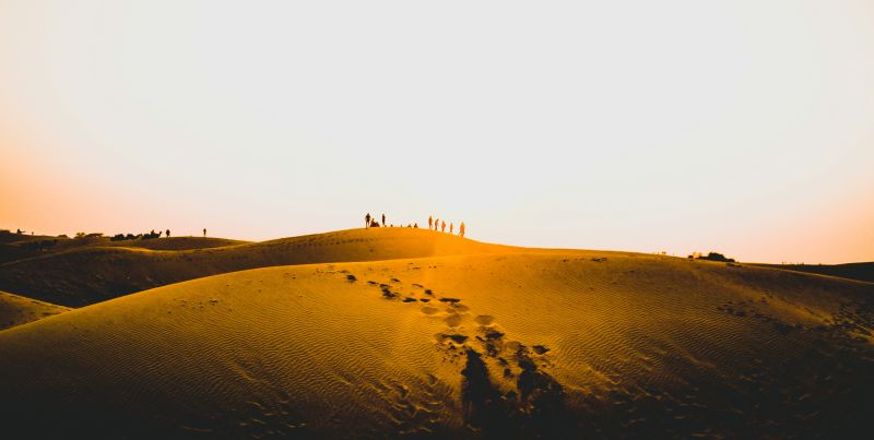 2024 is now moving forward to be recorded as the hottest year ever. 