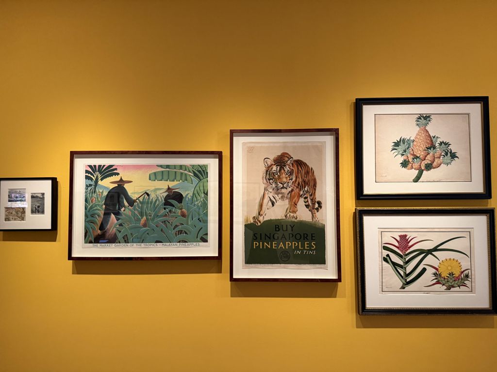 Installation view. Singapore Stories: Pathways and Detours in Art. Photo: Connected to India