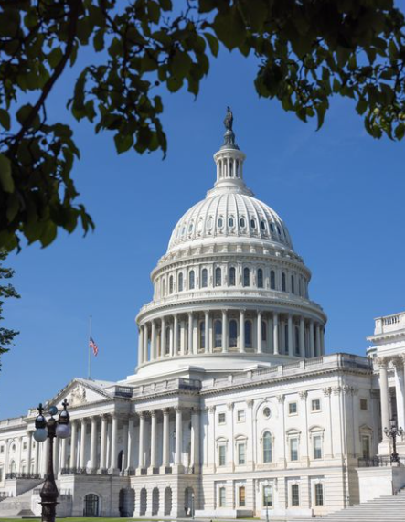 America votes: With US Capitol riots in mind, businesses and buildings board up in Washington DC as election day arrives
