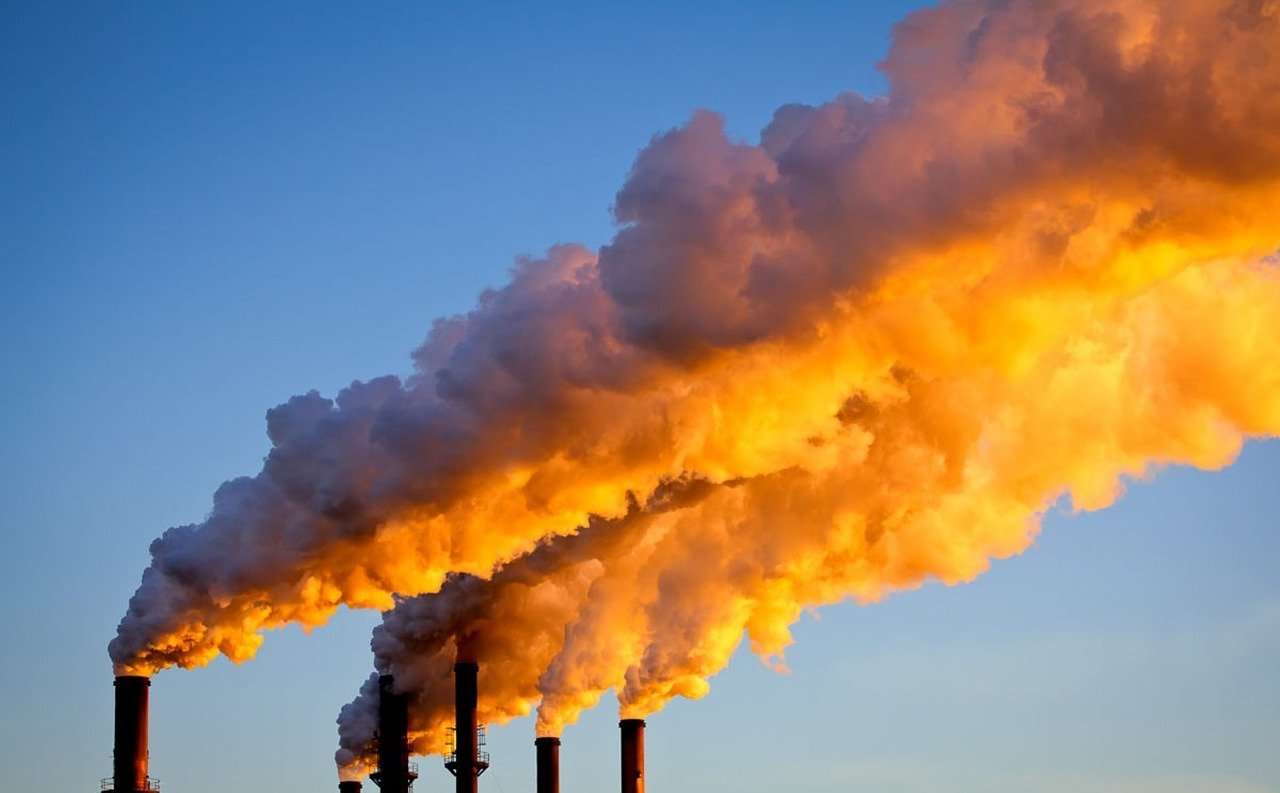 Study finds carbon emissions have touch record highs in 2024. 