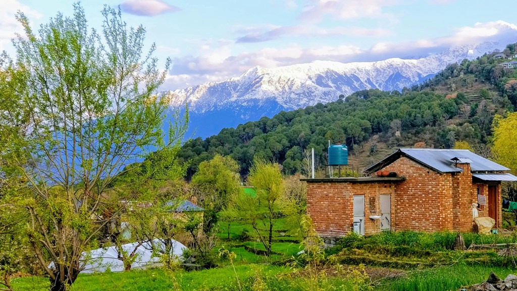 Bir, Himachal Pradesh. Photo courtesy: Unsplash