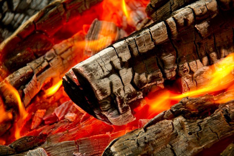 Data shows global coal demand has touched record high figures in 2024.
