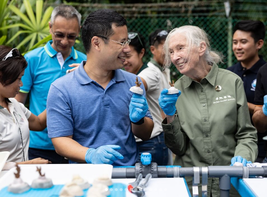 Singapore NParks launches 100K Corals Initiative, an extensive tech-based marine conservation effort