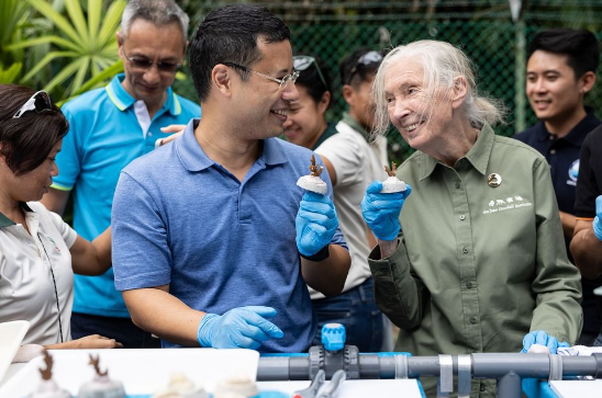 Desmond Lee and Jane Goodall