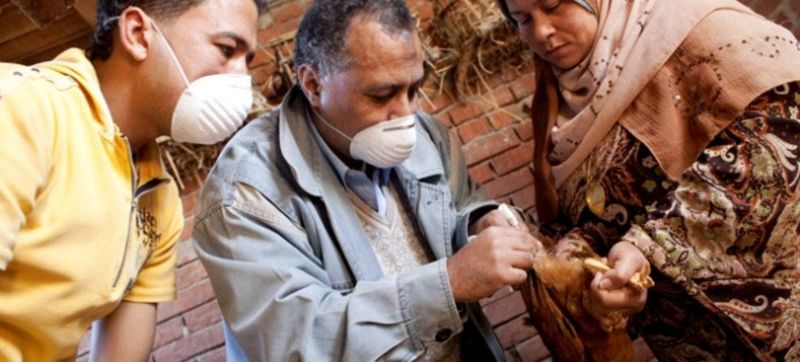WHO says Avian flu risk still remains ‘low’ even after US registers first H5N1 death