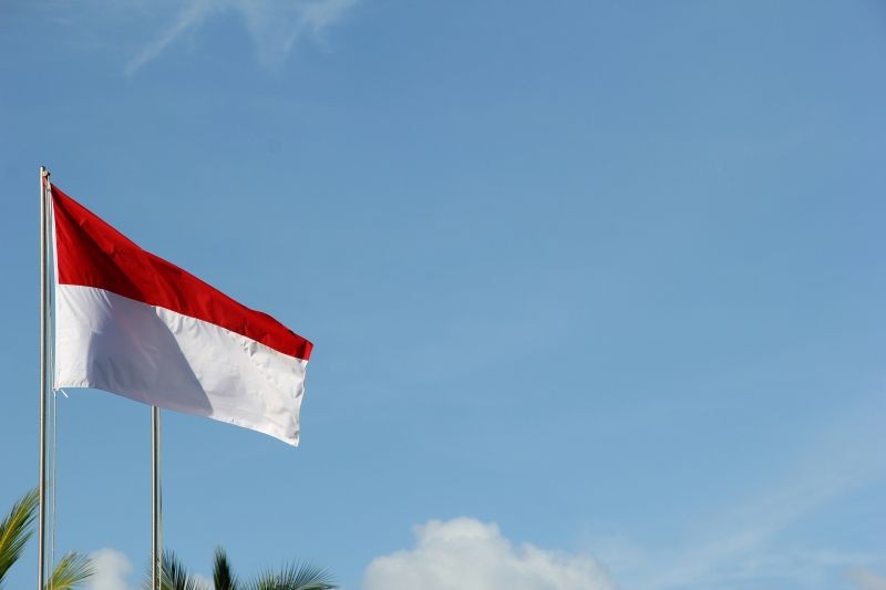Indonesia joins BRICS as full member