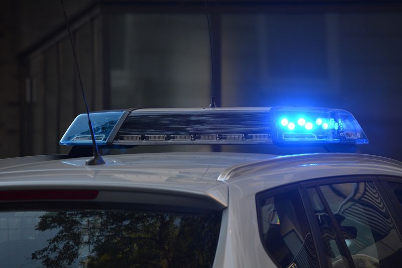 US: Two Indian-origin nationals charged for robbery at gunpoint 