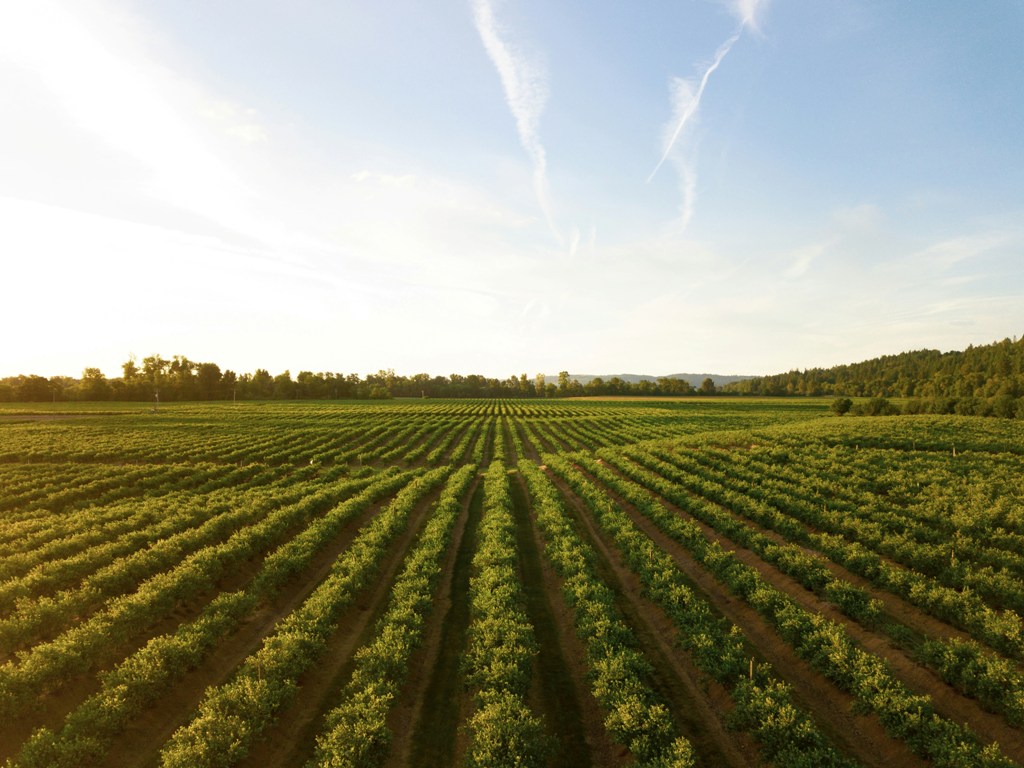 Resources for commercial agriculture operations