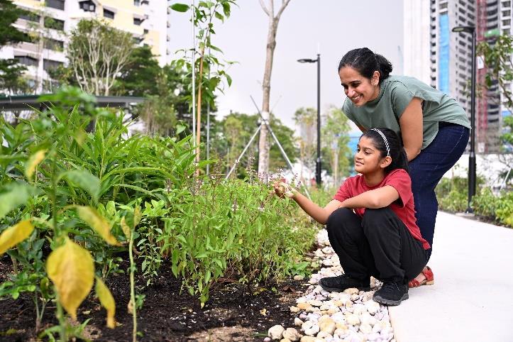 Singapore NParks opens Pek Kio Park, with 17th therapeutic garden of island nation