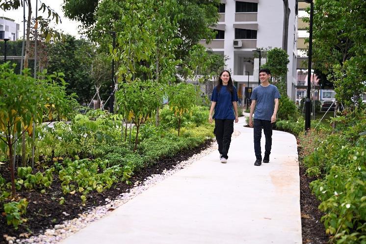 Jogging track, Pek Kio Park