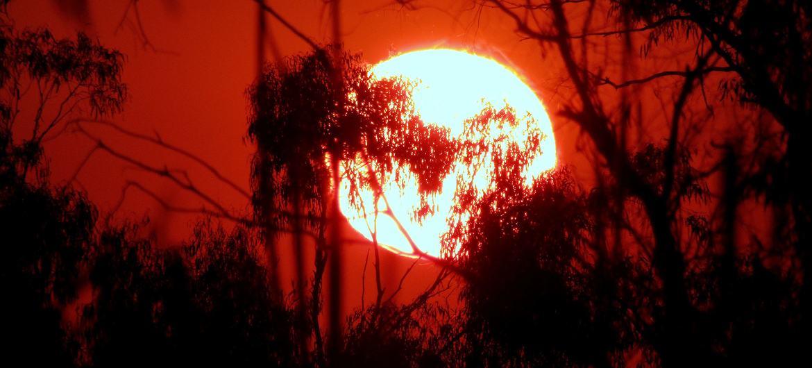 WMO data shows world just experienced the warmest January on record