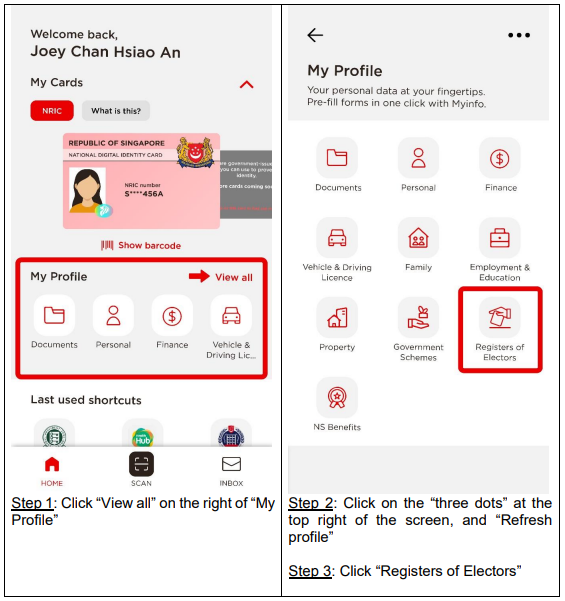 Singapore Elections Department infographic