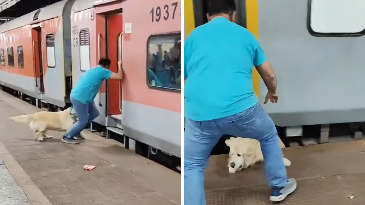 WATCH: Viral video shows pet dog’s near-death experience due to owner’s recklessness
