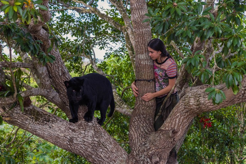 A still from the movie Autumn and the Black Jaguar