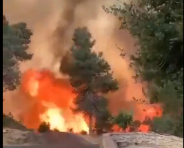 Israel: Thousands evacuated after massive wildfire engulfs Jerusalem hills