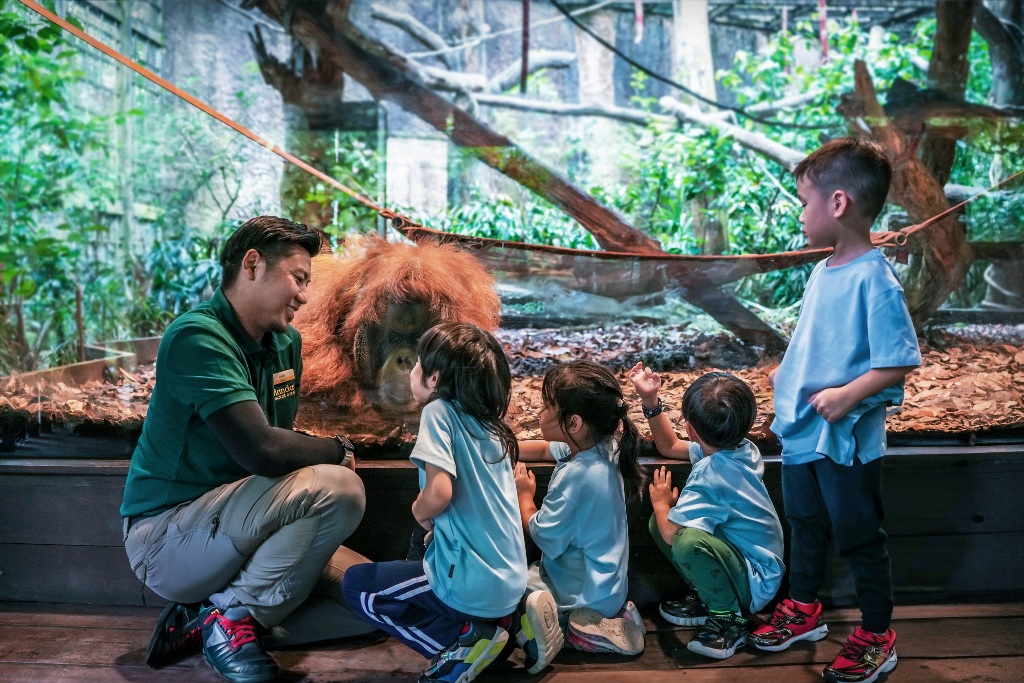 Overnight camping, dining alley, and nature-themed attractions coming to Mandai Wildlife East
