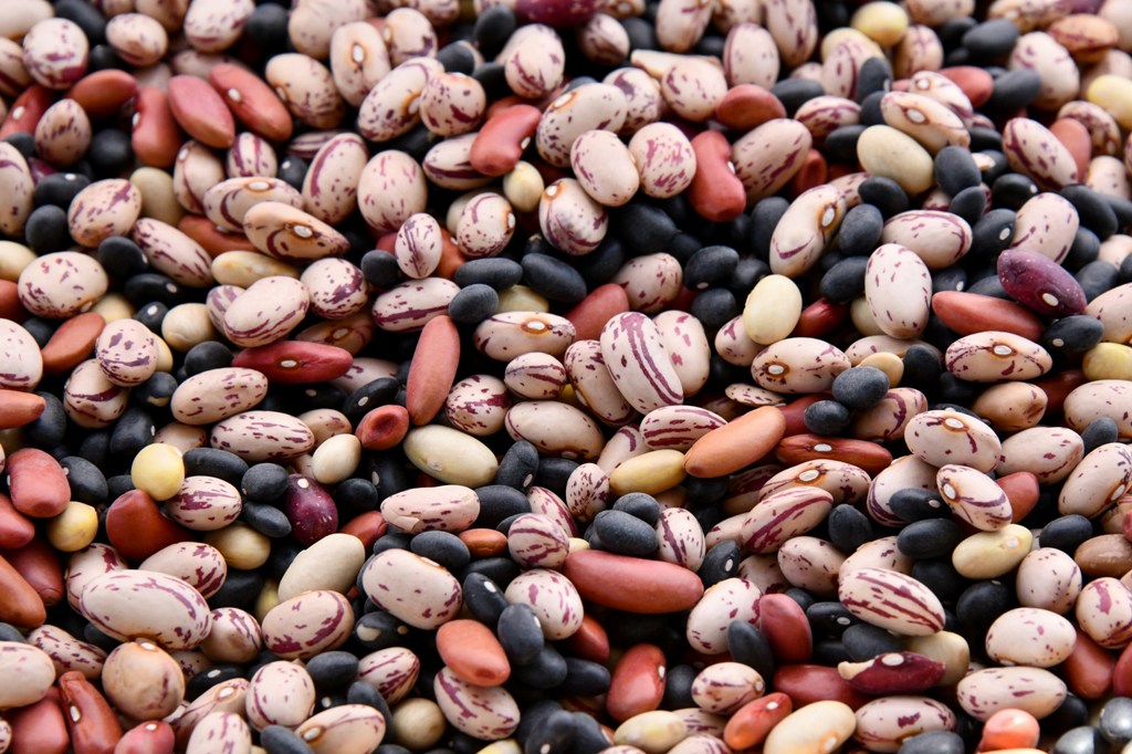 Singapore’s food scene embraces beans for a healthier, greener future