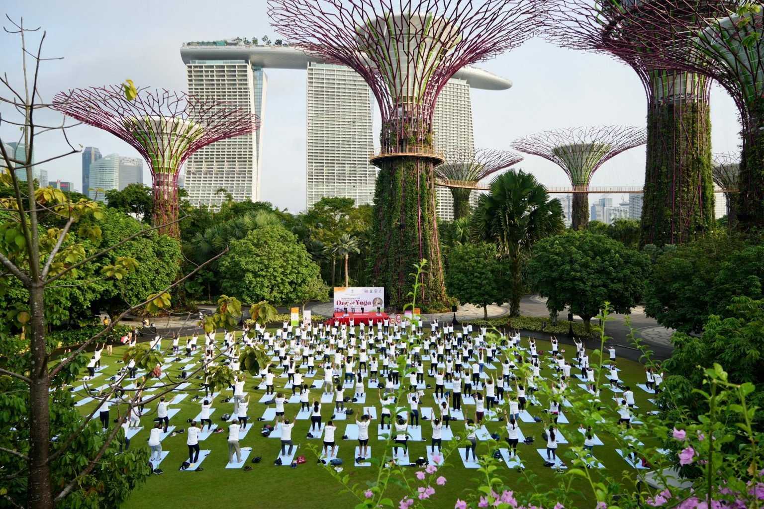 In Pics: Yoga enthusiasts worldwide mark 11th International Day of Yoga