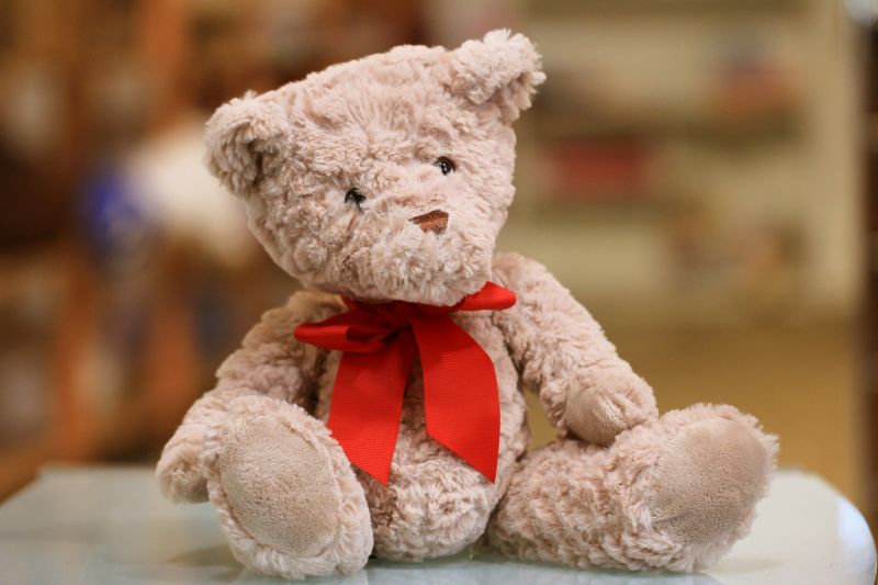 UK: DNA on teddies exposes perverted act performed by Indian student  in a woman student’s room