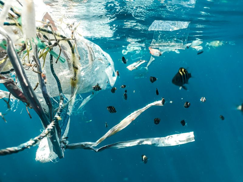 UN Ocean Conference pushes to end plastic pollution