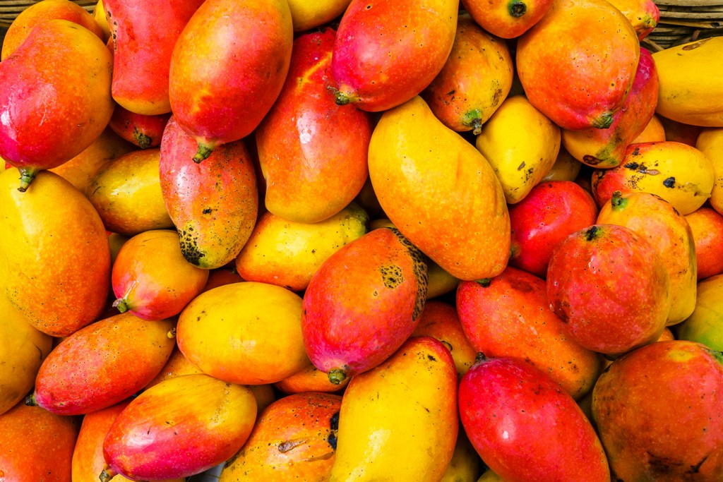 Indian Embassy to host mango tasting fest in Washington DC