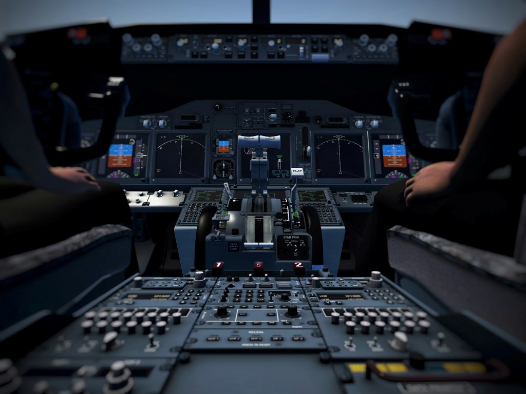 Flight attendant’s unverified claims about intimate acts in cockpit raise eyebrows; video goes VIRAL