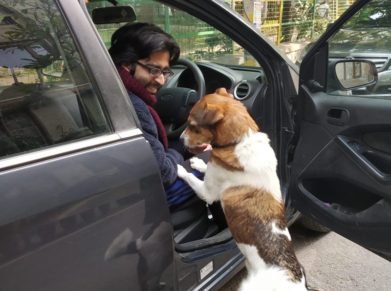 Caring, not caging: India’s stray dogs deserve a kinder tomorrow