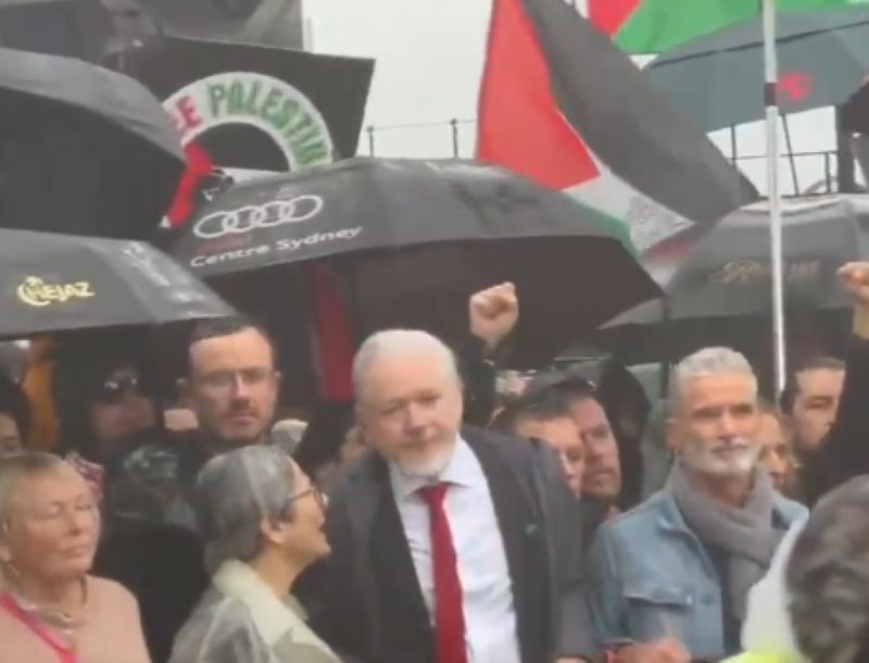 Pro-Palestine marchers demonstrate on Sydney Harbour Bridge; Julian Assange participates