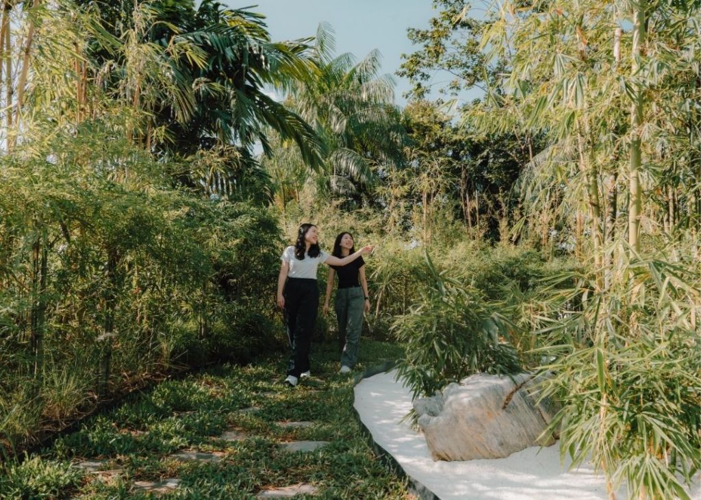 Singapore’s Changi Airport launches open-air bamboo garden