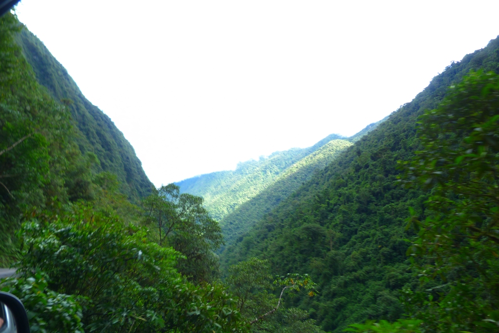 Yanachaga Chemillen National Park